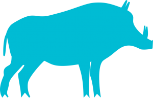 blue boar